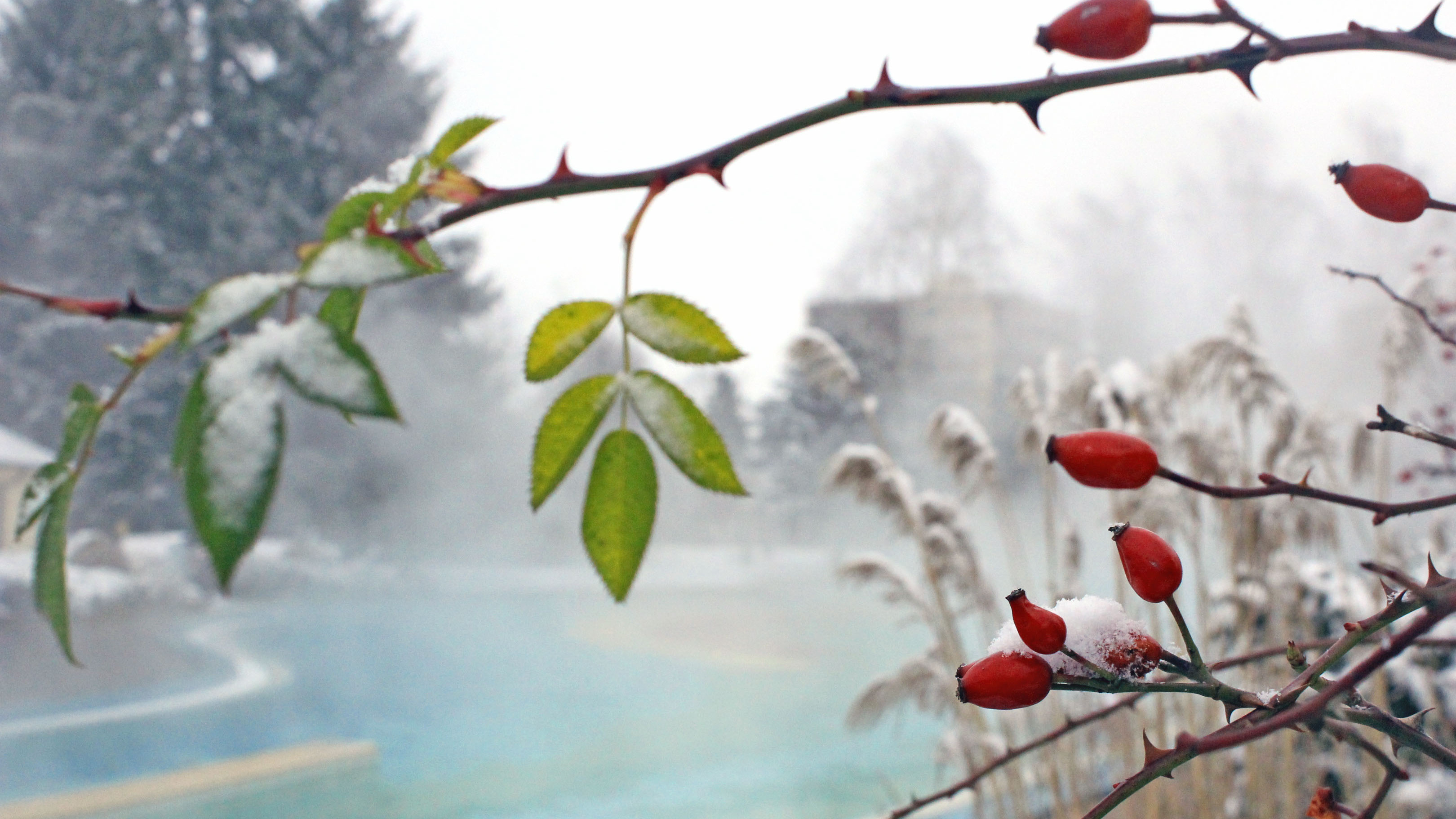 Winterbild aus der Johannesbad Therme