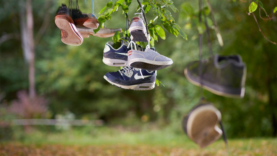 Schuhe in Ästen eines Baums symbolisieren den Neuanfang nach eine Alkoholabhängigkeit